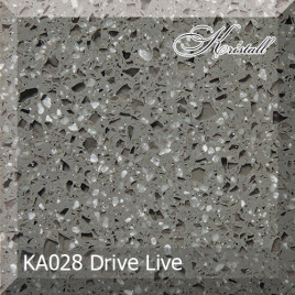 drive live ka028